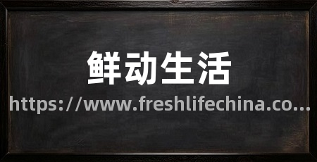 鲜动生活