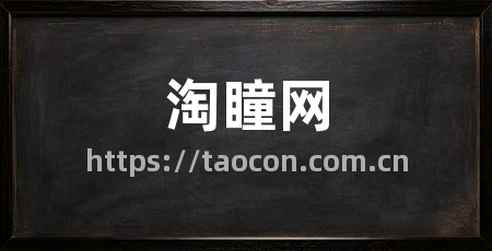 淘瞳网
