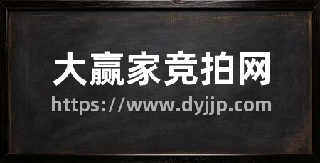 大赢家竞拍网