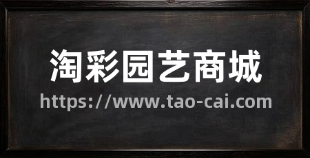 淘彩园艺商城