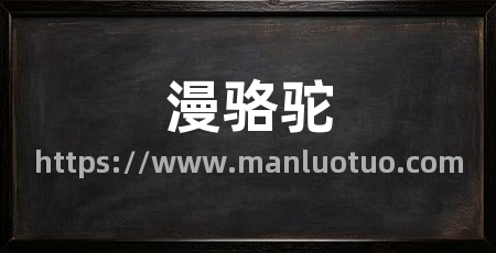 漫骆驼