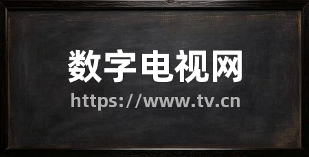 数字电视网