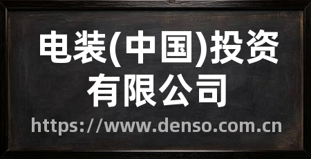 电装(中国)投资有限公司