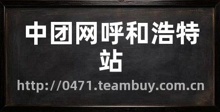中团网呼和浩特站