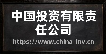 中国投资有限责任公司