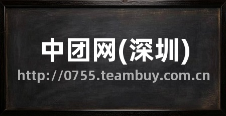 中团网(深圳)