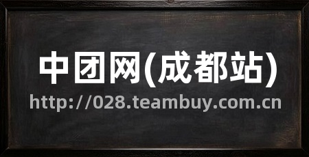 中团网(成都站)