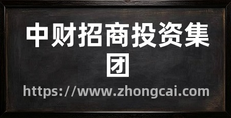 中财招商投资集团