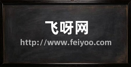 飞呀网