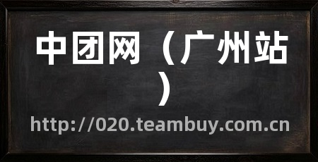中团网(广州站)