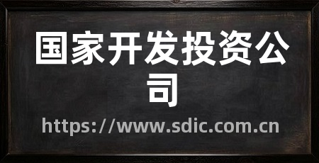国家开发投资公司