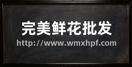 完美鲜花批发