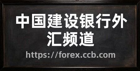 中国建设银行外汇频道
