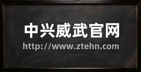 中兴威武官网
