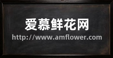 爱慕鲜花网