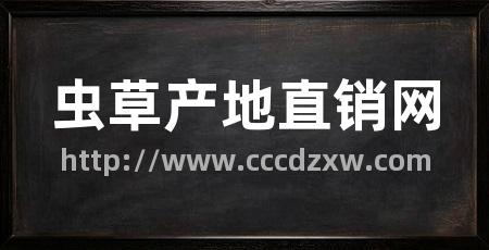 虫草产地直销网