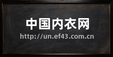 中国内衣网