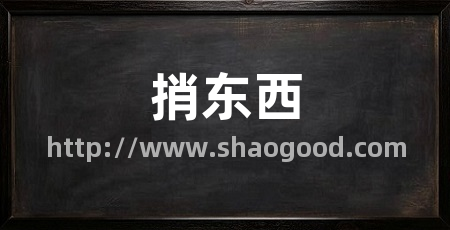 捎东西