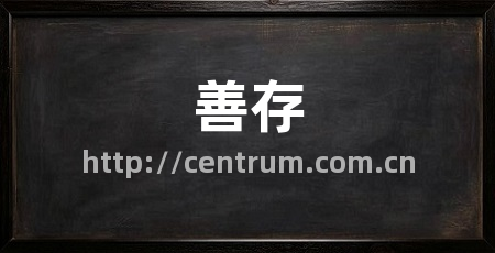 善存