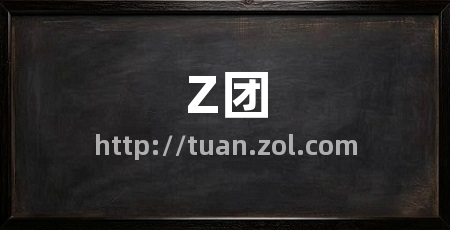Z团