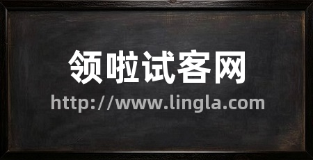 领啦试客网