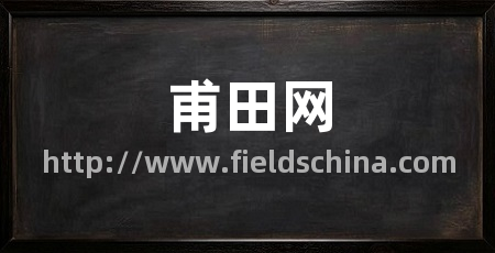 甫田网