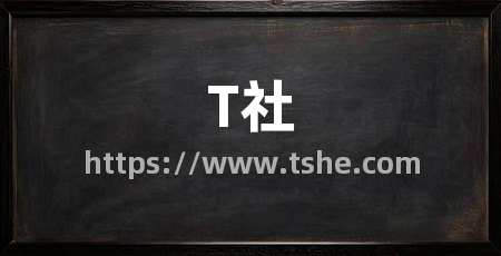 T社