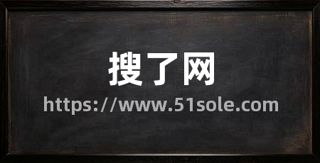 搜了网