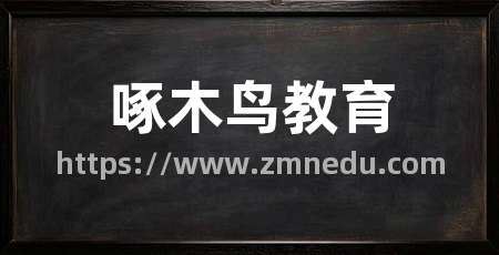啄木鸟教育