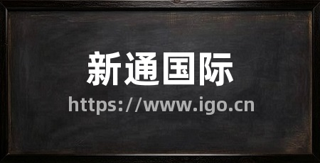 新通国际