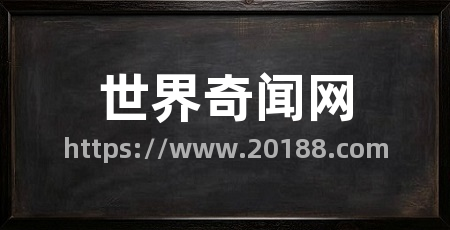 世界奇闻网