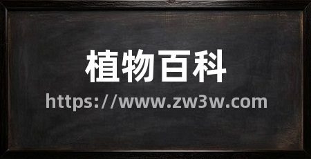 植物百科
