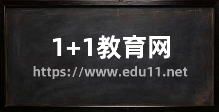 1+1教育网