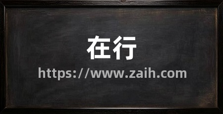 在行