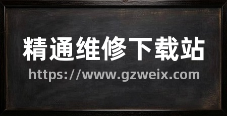 精通维修下载站