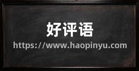 好评语