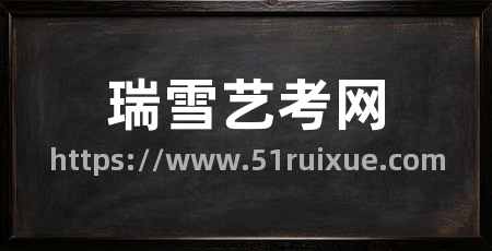 瑞雪艺考网