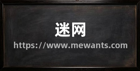 迷网