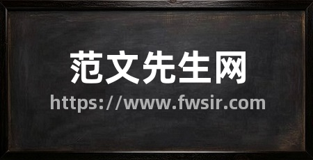 范文先生网
