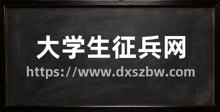 大学生征兵网