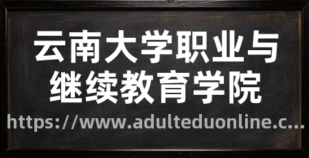 云南大学职业与继续教育学院