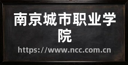 南京城市职业学院