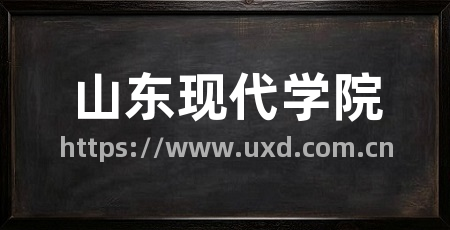 山东现代学院