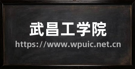 武昌工学院