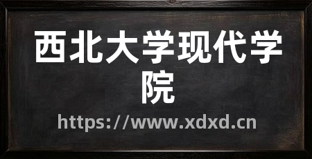 西北大学现代学院