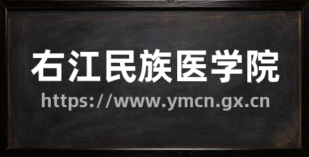 右江民族医学院
