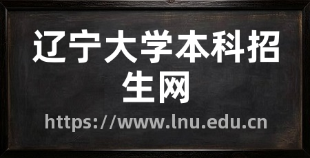 辽宁大学本科招生网