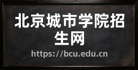 北京城市学院招生网