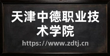 天津中德职业技术学院