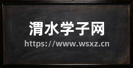 渭水学子网